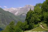 20060613_091333 Sentiero per la grotta di Lourdes.jpg